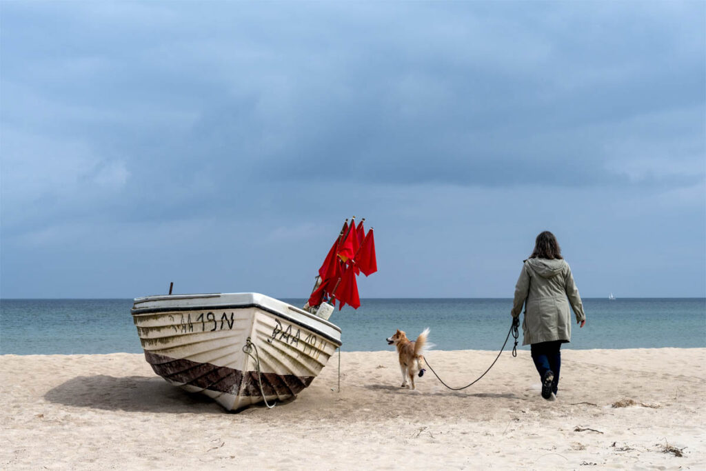 Schöne Tierfotografie am Strand in Baabe mit einem Hund-Fotograf Mazelle für Porträtfotografie auf der Insel Rügen Mazelle Photography Fotostudio®